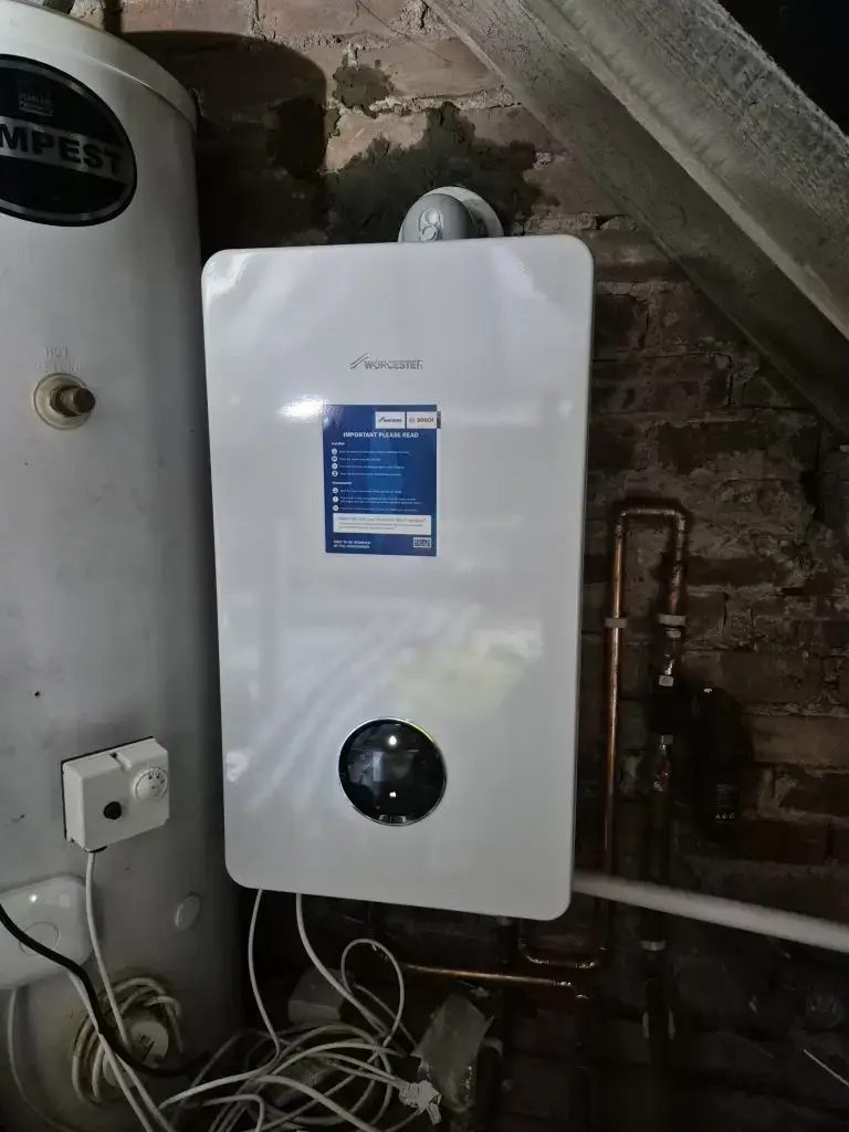 20250509_115239 20250509 115239